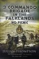 3 Commando Brigade in the Falklands - No Picnic
