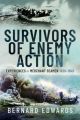 Survivors of Enemy Action : Experiences of Merchant Seamen 1939-1945